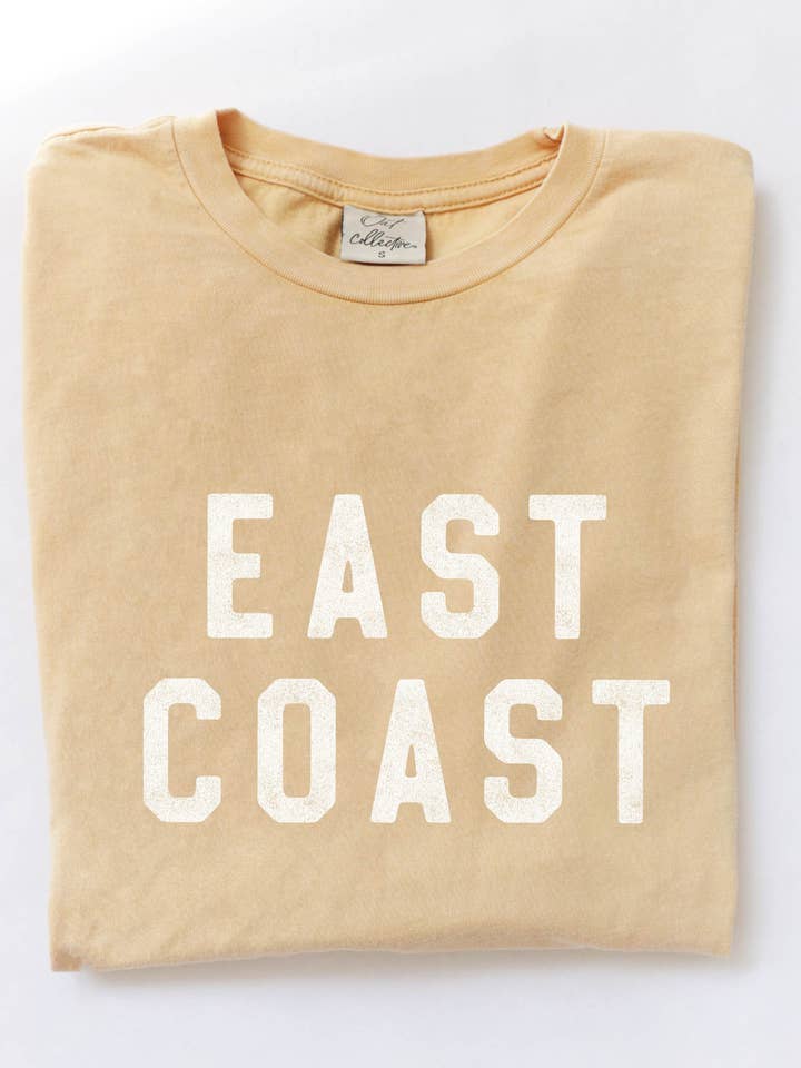 EAST COAST Graphic Plus size Mineral Washed Graphic Top for wholesale by OAT COLLECTIVE