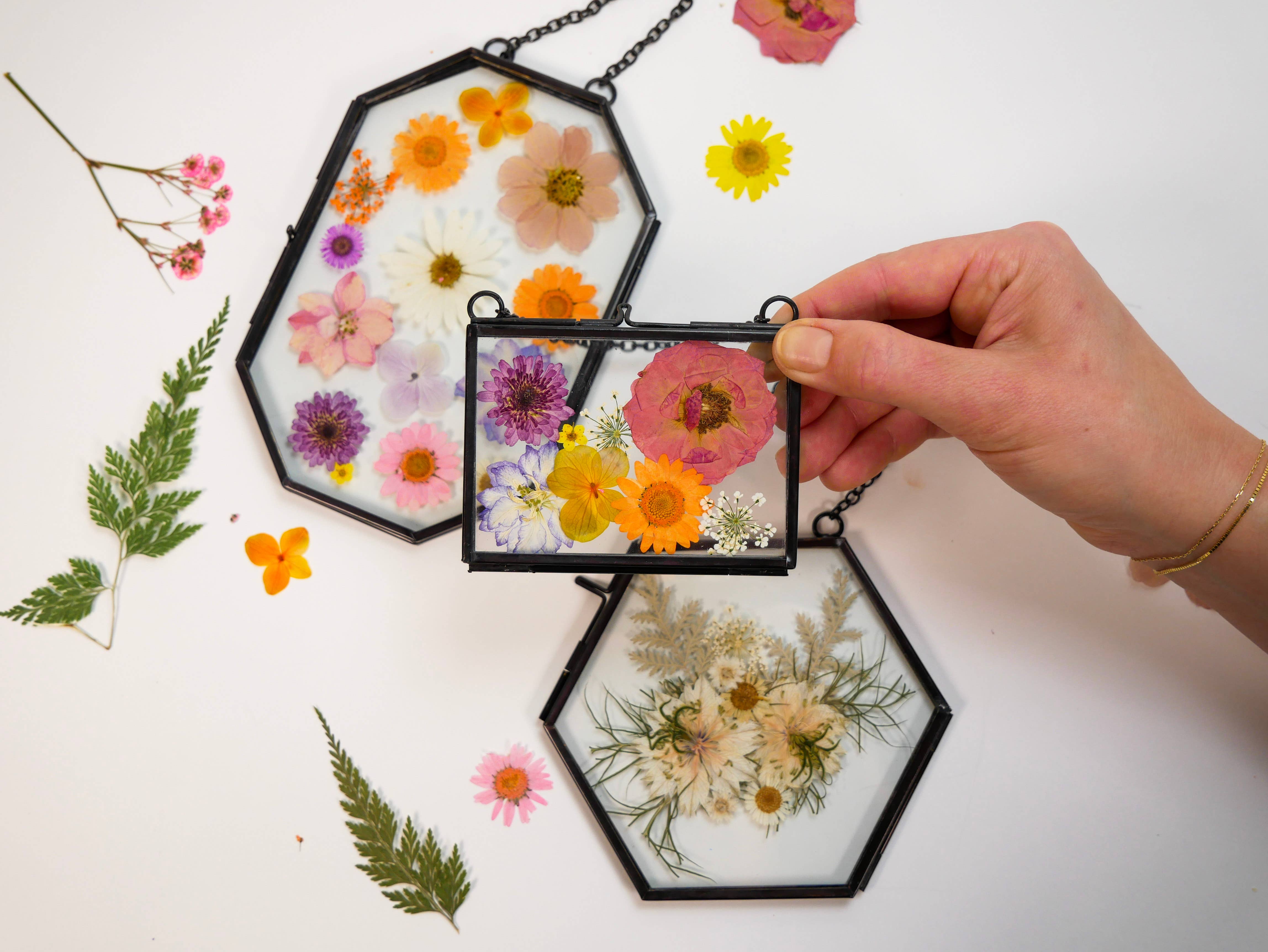 Adults & Crafts - Venta al por mayor Kit de manualidades - Kit de manualidades con marcos de flores prensadas10