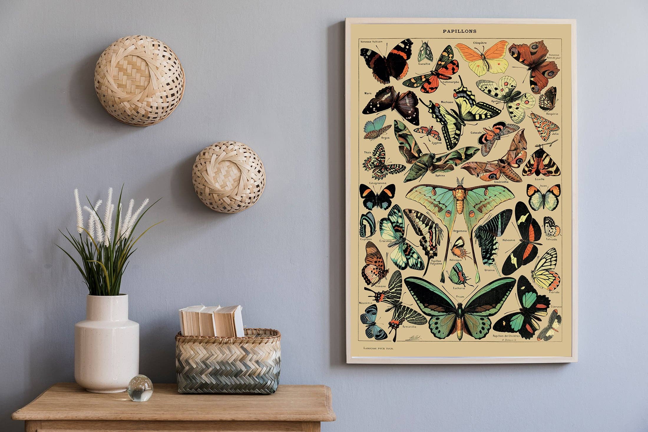 Esque - Wholesale Poster - Vintage Butterflies Poster1