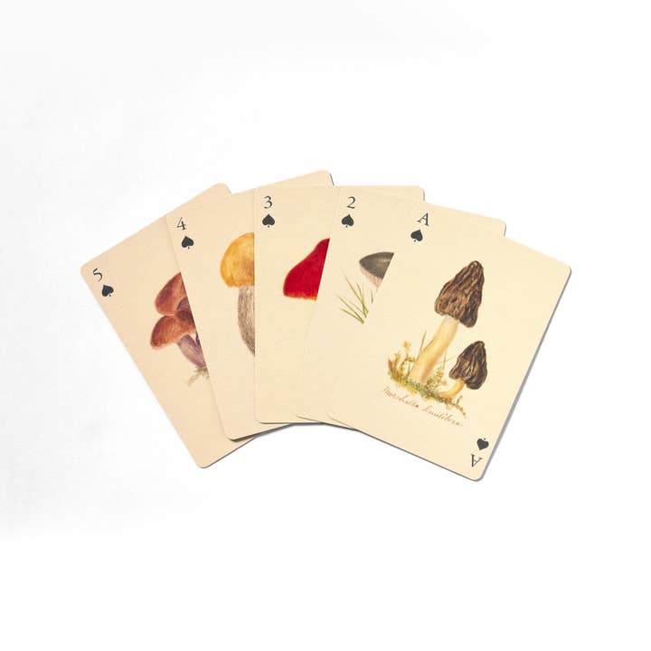 Roomytown Inc - Wholesale Playing Cards - Playing Cards - Set of Two Decks - Fungi