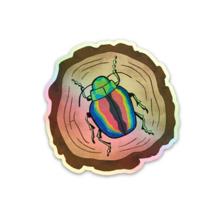 Little Studio Collective - Wholesale Sticker - Rainbow Beetle Sticker