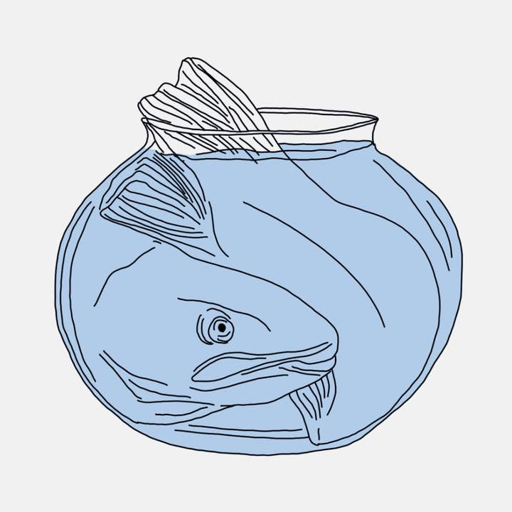 Pisces for wholesale by Jessie Hoefnagel