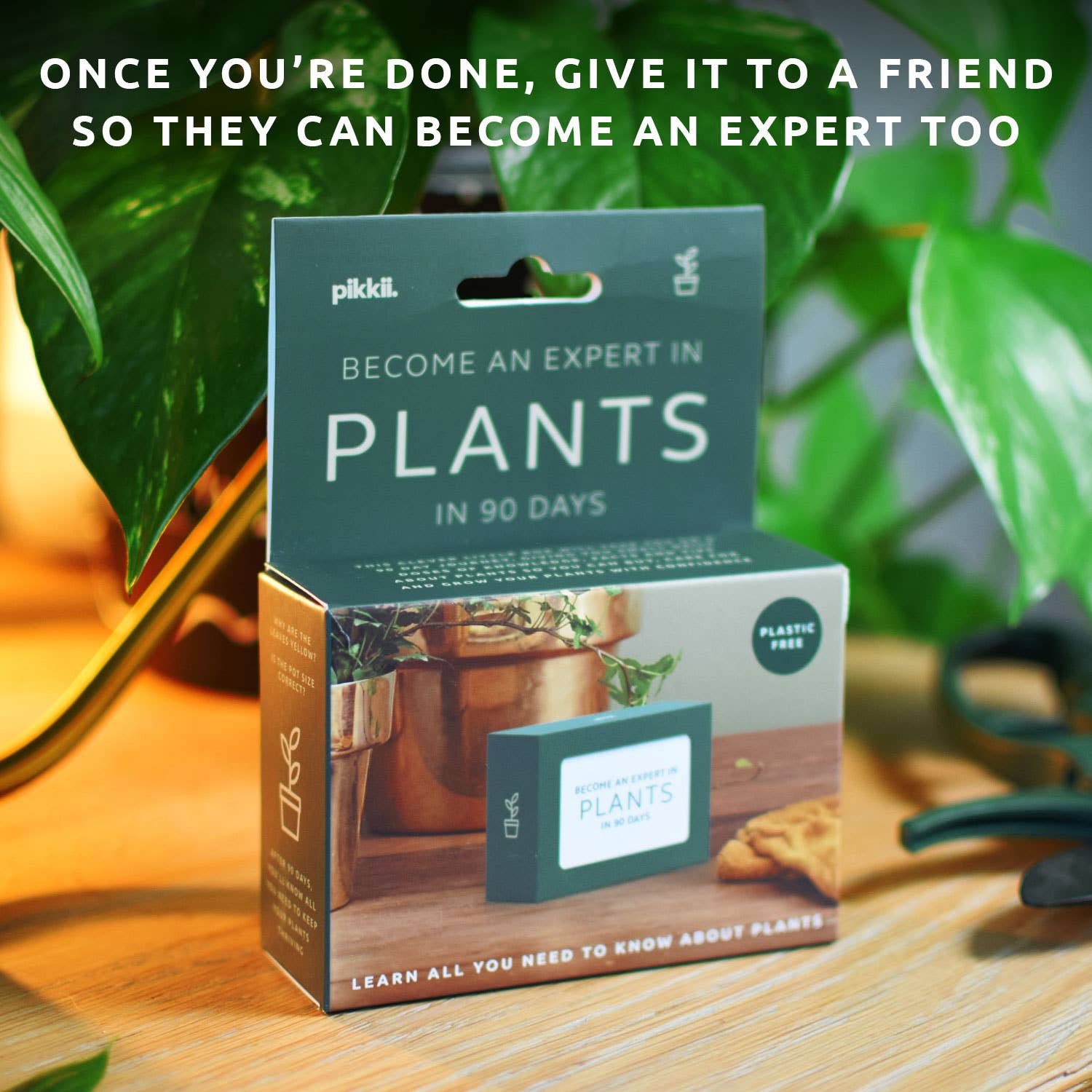 Pikkii – wholesale Plant seeds – Become an Expert in Plants in 90 Days Slide Box | Plant Gift9