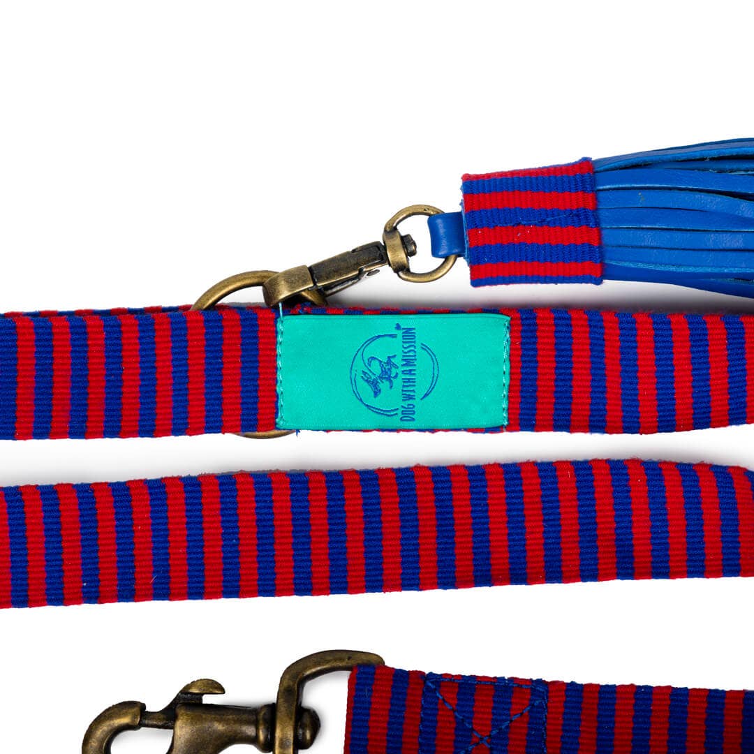 Dog with a Mission - Wholesale Pet Leash - Dog - Mr Clooney dog leash1