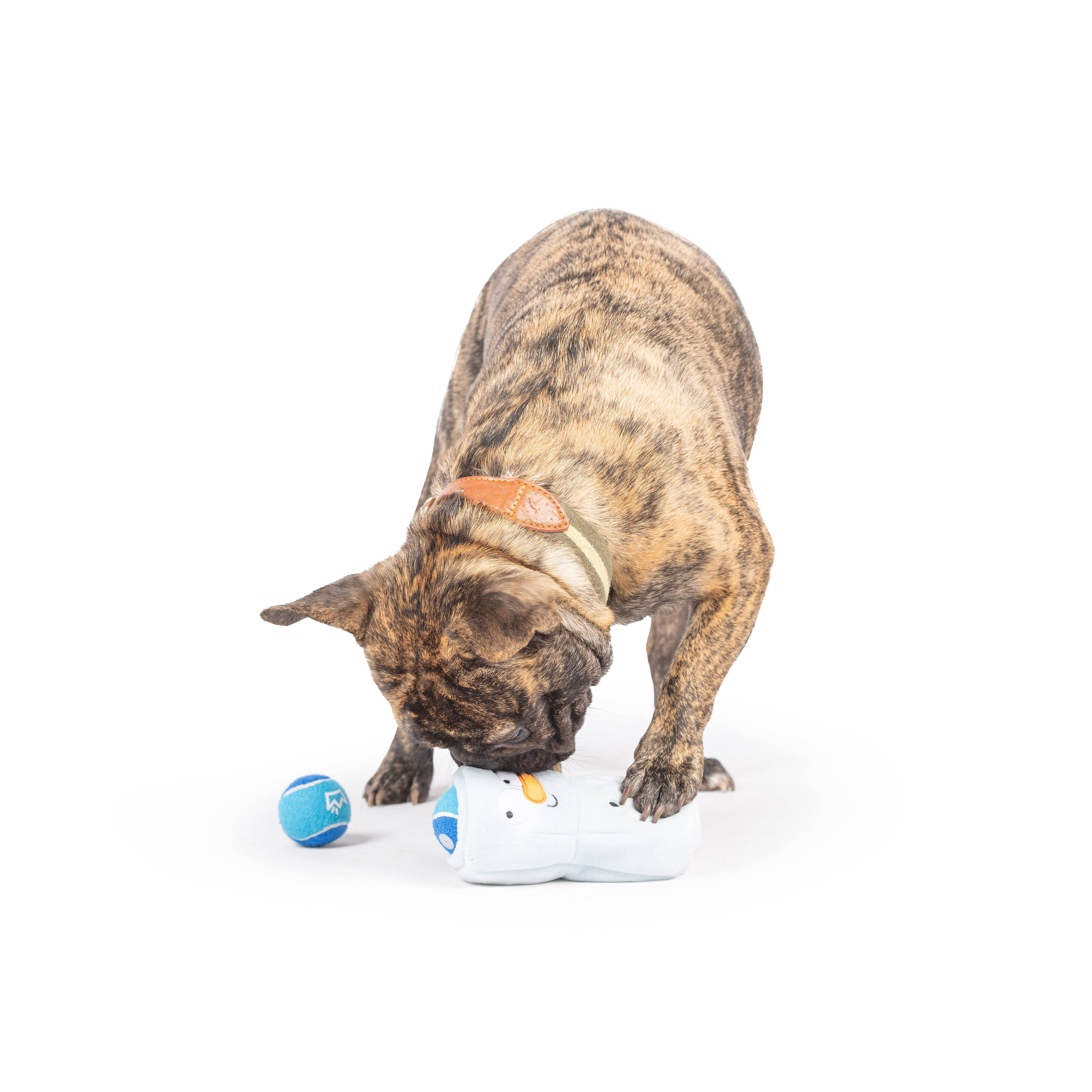 Huxley & Kent - Wholesale Pet Squeaky Toy - Dog - Squeak 'n Peek Frosty Snowman Dog Toy4