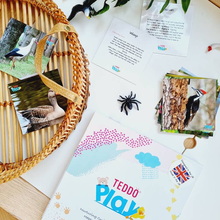 Fåglar & Insekter (Mindre kända fakta) Speluppsättning + Freebies för wholesale av Teddo Play