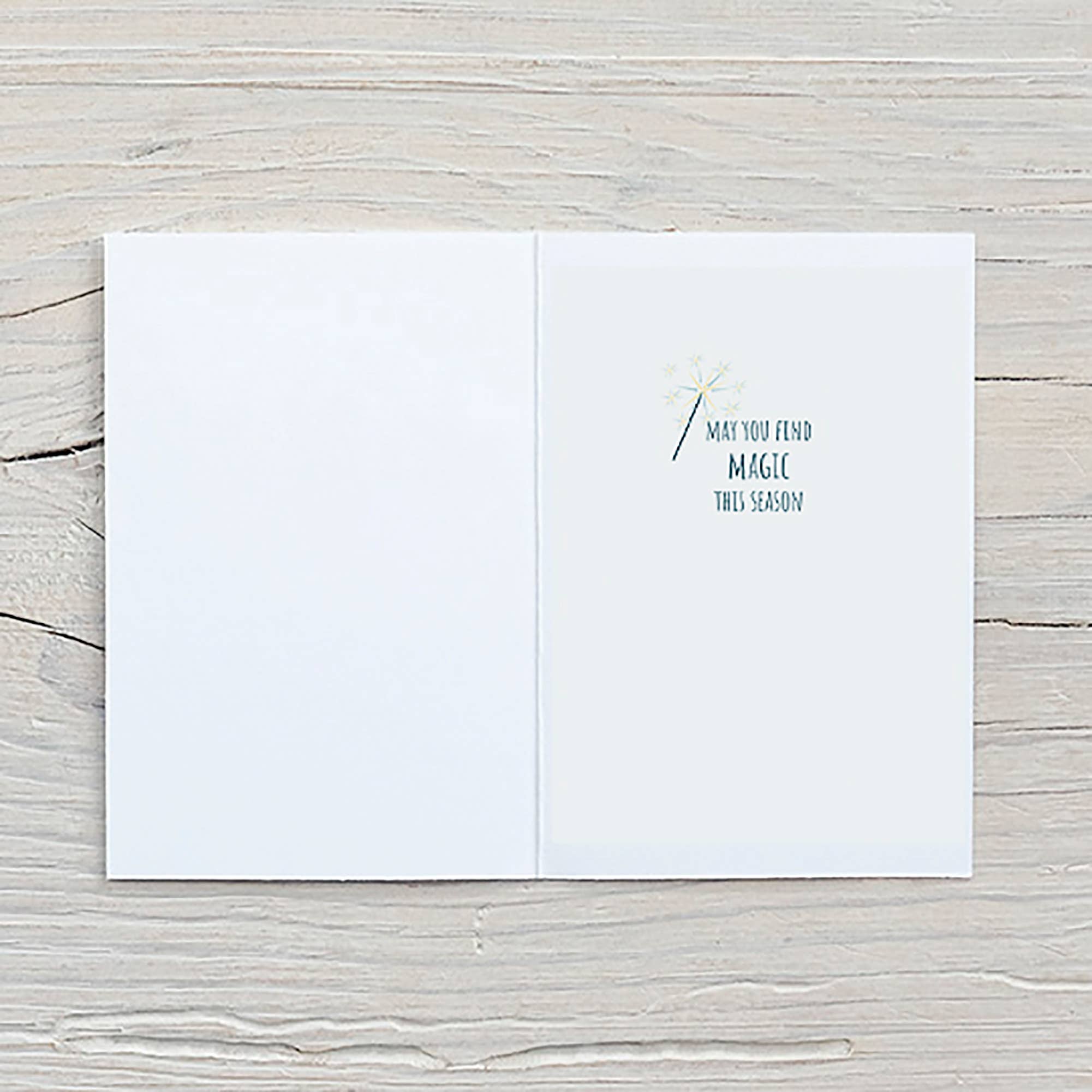 Fable & Sage - Wholesale Christmas Card - Raccoon Magic Holiday Card | Raccoon Christmas | Boxed Set1