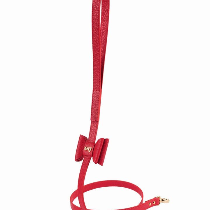 MOSHIQA - Wholesale Pet Leash - Dog - Bisou Dog Leash2