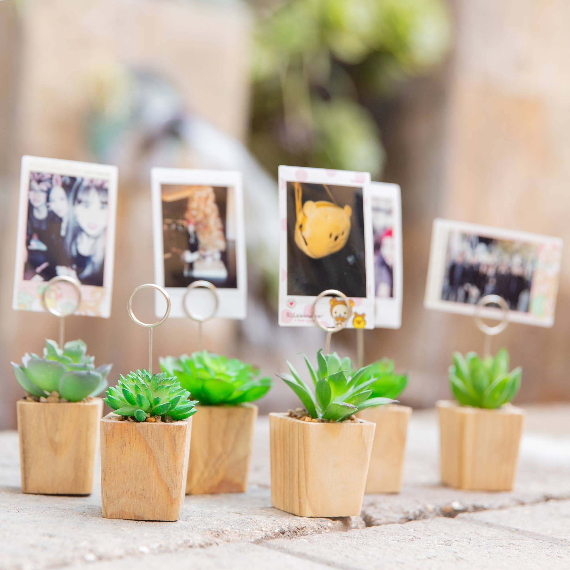 Flora Bunda Inc - Wholesale Place Card / Place Holder - Mini Succulent Memo Clip – Set of 44