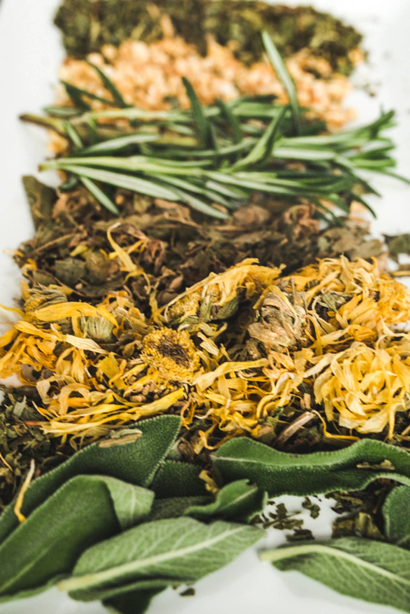 The Good Stuff Botanicals - Wholesale Facial Steam - Steam Me3