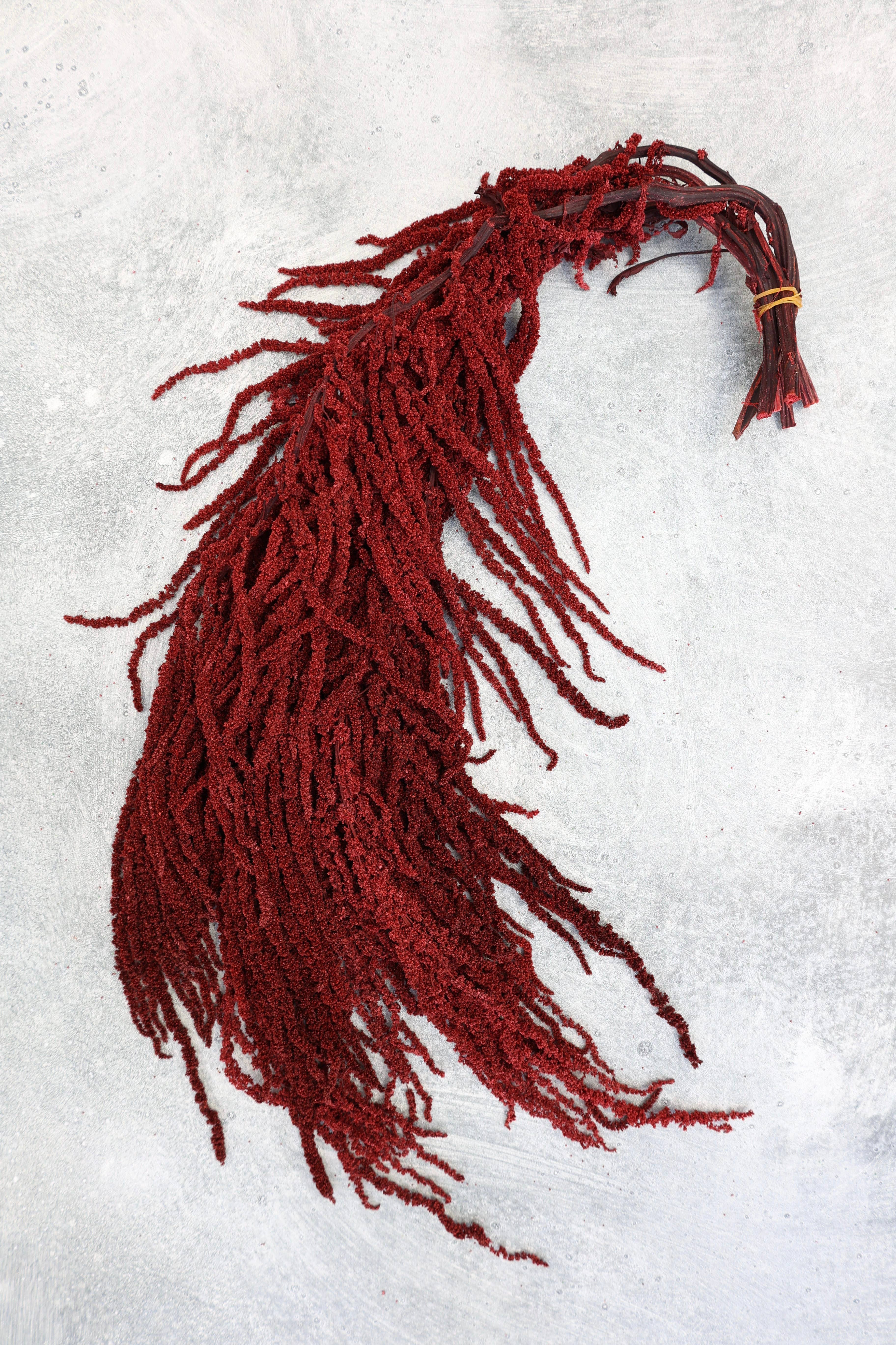 FlowerFantaSee - Vente Fleur séchée/pressée - Amarante préservée rouge profond8