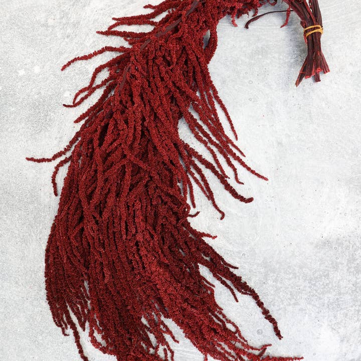 FlowerFantaSee – wholesale Torkade/pressade blommor – Djupt Röd Konserverad Amarant8