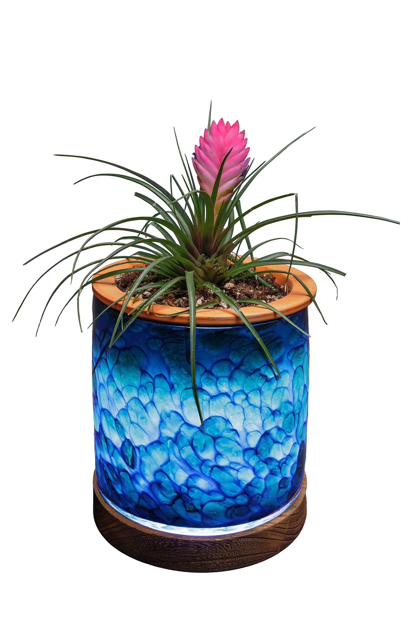 ApricotMint - Wholesale Plant Pot - 8" Art Glass LED Self Watering Planter (USB Plug-in)6