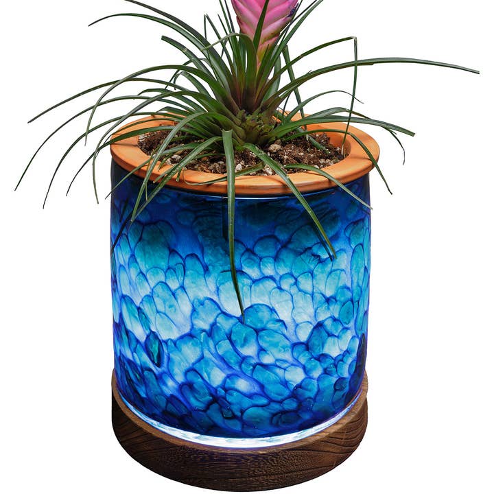 ApricotMint - Wholesale Plant Pot - 8" Art Glass LED Self Watering Planter (USB Plug-in)6