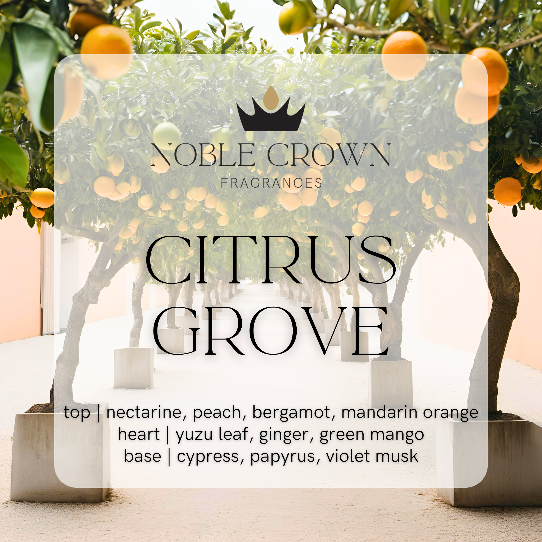 Noble Crown Fragrances - Vendita all'ingrosso Spray per tessuti e ambienti - Spray per Ambienti e Tessuti Agrumi2