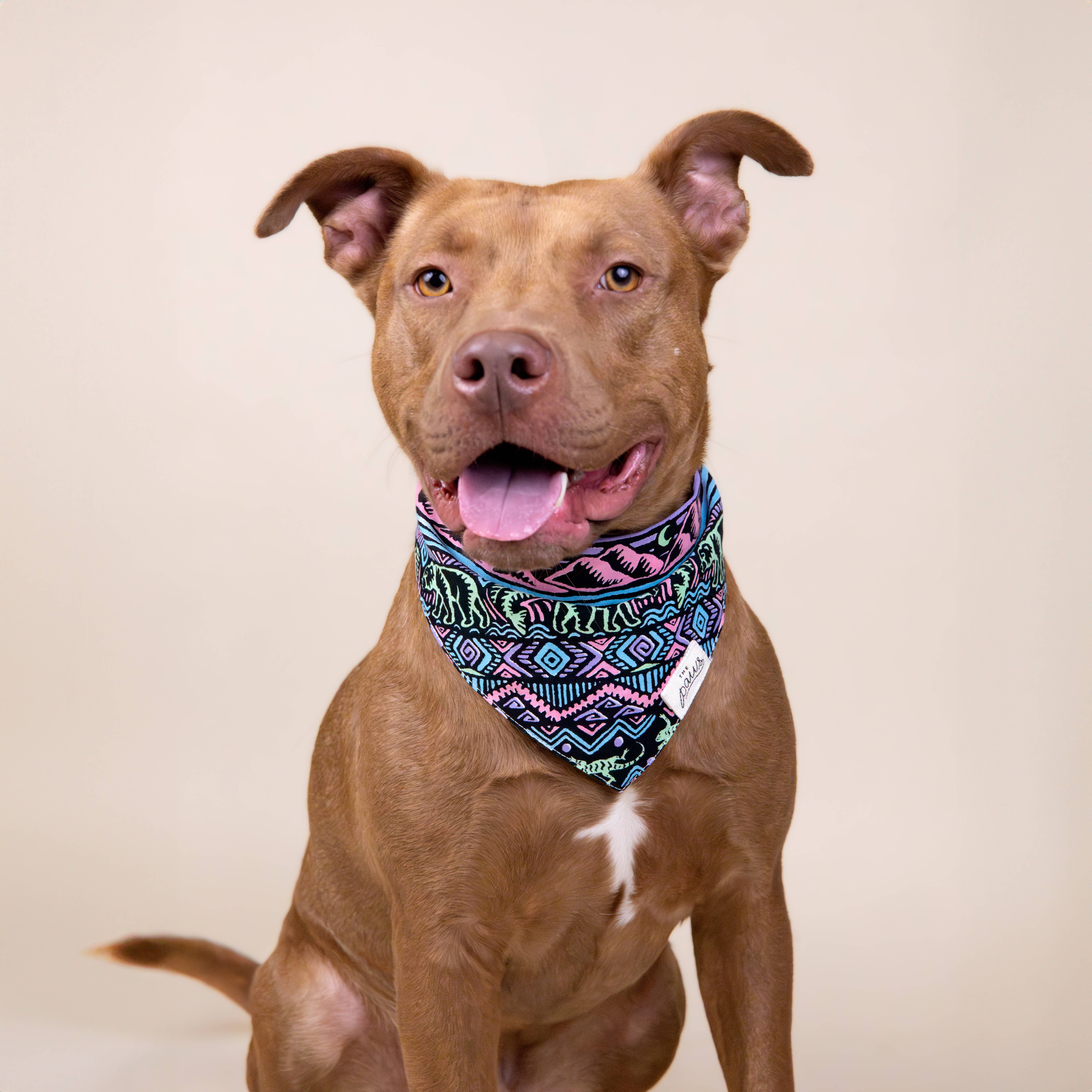 The Paws - Wholesale Pet Bandana - Dog - Wild Dog Bandana2