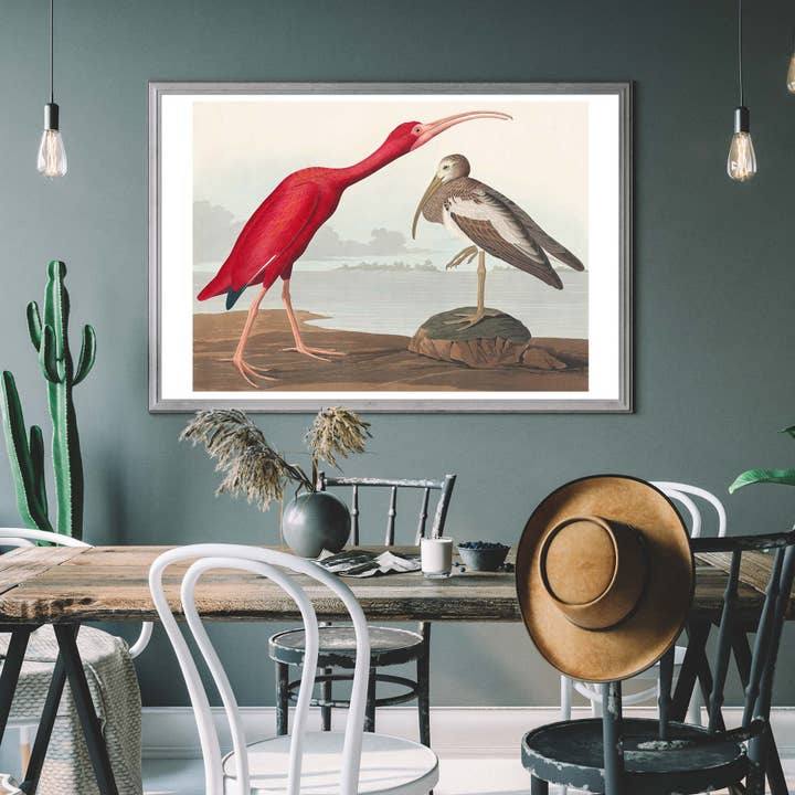 Scarlet Ibis vintage print for wholesale by Ink & Drop