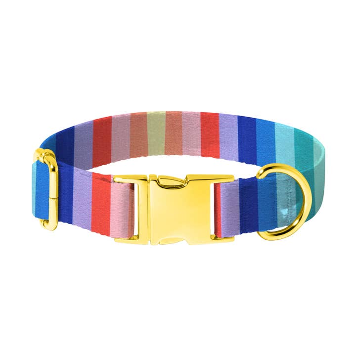 Spring Rainbow Dog Collar for wholesale by Pretty posh pups