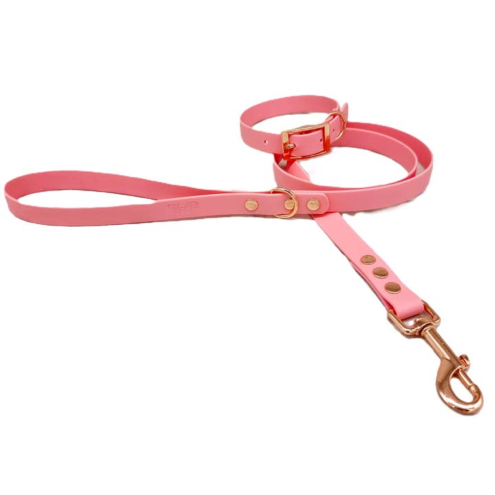 Trinkety Paws - Wholesale Pet Collar - Dog - BABY PINK - Waterproof BioThane© Dog Collar & Lead