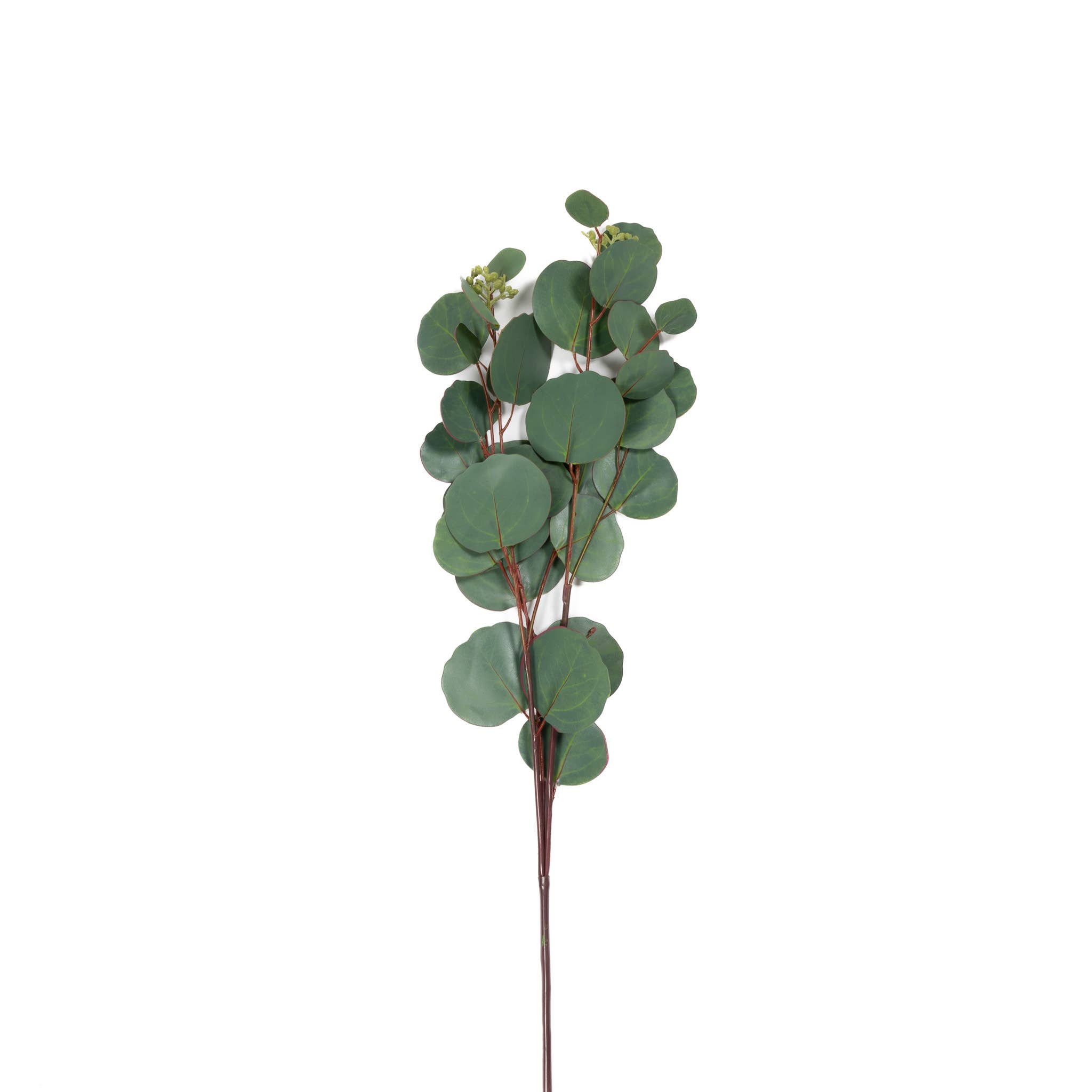 Mills Floral Company – wholesale Artificial plant – Silver Dollar Seeded Eucalyptus Stem - 31 Inch2