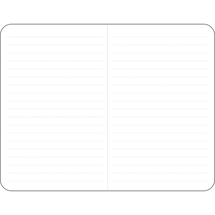 Peter Pauper Press - Wholesale Notebook - Jotter Mini Notebooks: Falling Blossoms2