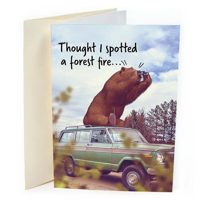 Funny Bear Birthday Card for wholesale by St Thomas Greetings