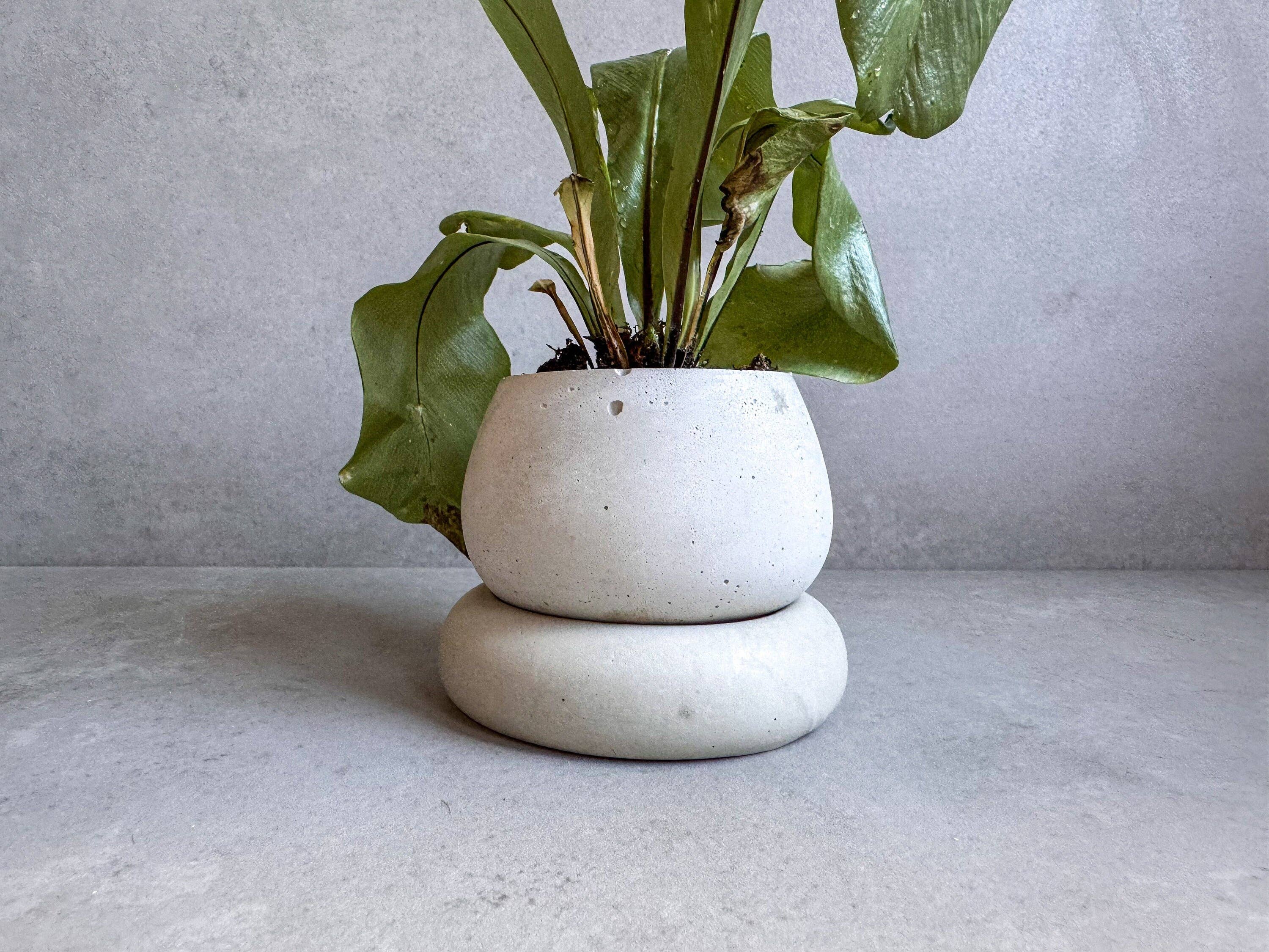 Minimal Loot Design – wholesale Plant pot – Small Concrete Planter with Drainage, Cute Plant Pot, Bubble Planter, Succulent Planter, Decorative Pot, Modern Pot, Nordic, Chubby Pot9