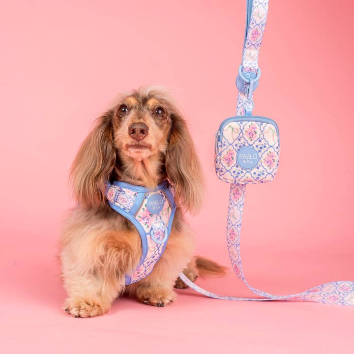 Petal: Treat Pouch and other Purchase Wholesale wet cat food pouches. Free Returns & Net 60 Terms on Faire trending on Faire.