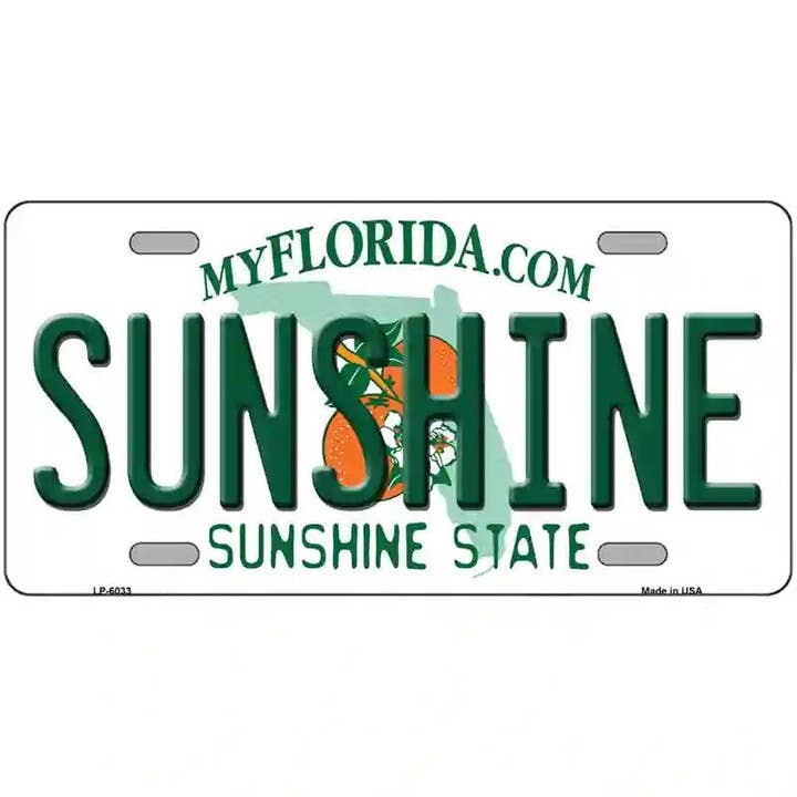 Sunshine Florida originelles Metall-Kennzeichen für den Großhandel von Smart Blonde