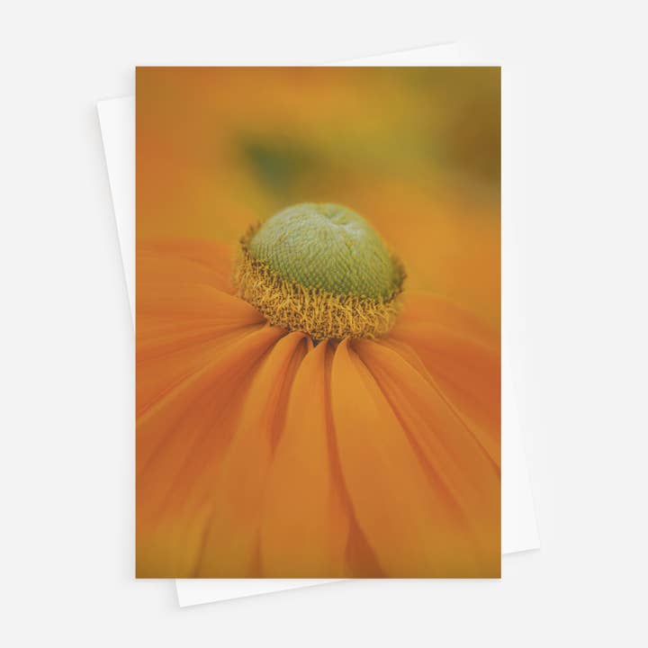 Sunny Single 5x7 Folded Rudbeckia Floral Greeting Card for wholesale by Sheryl’s Virtual Garden