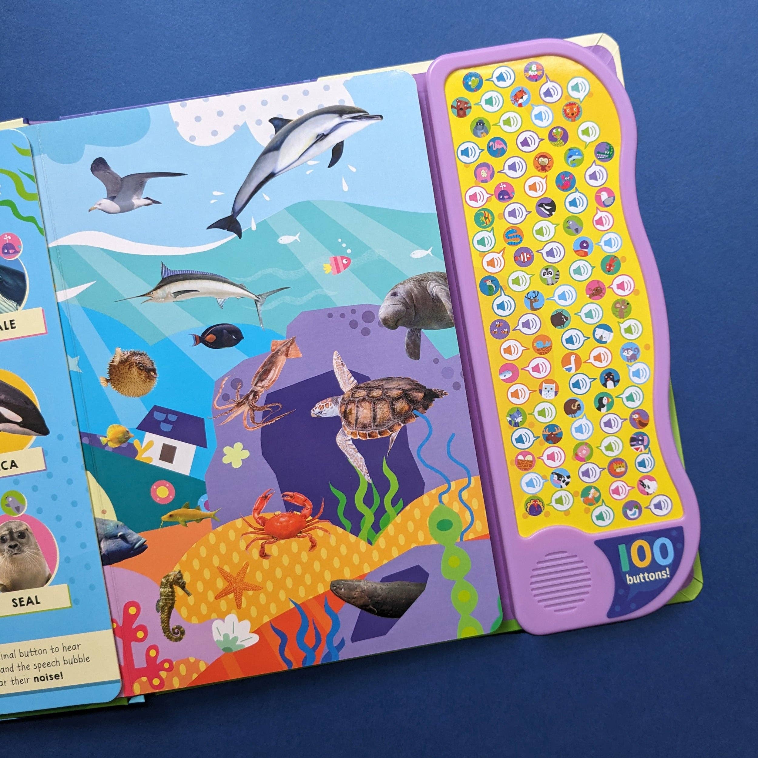 Robert Frederick Ltd – wholesale Pre-school book (3–5) – Look And Find Animal Words & Sounds - Children's 100 Button Sound Book2