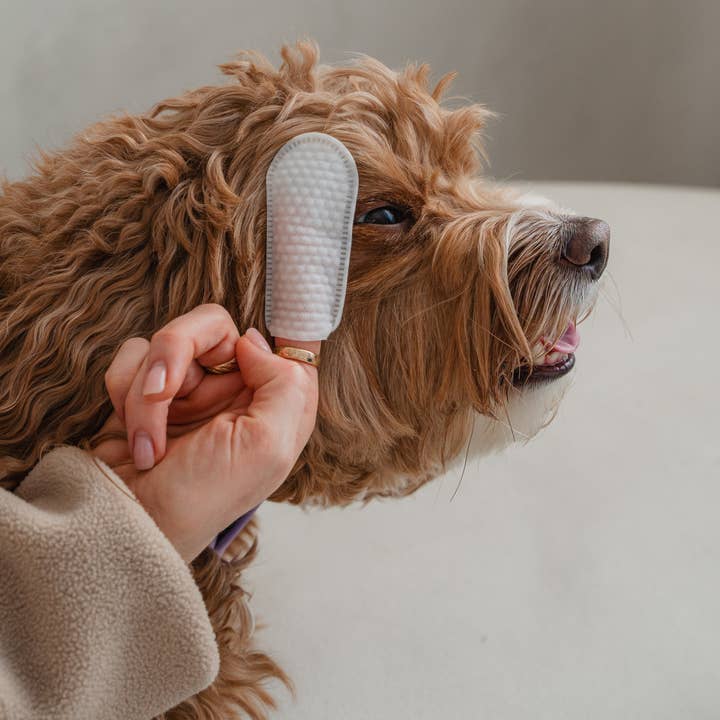 dexypaws - Wholesale Pet Grooming Aid - Dog - 100-Pack Eyes, Ears & Nose Cleaning Finger Wipes for Dogs3