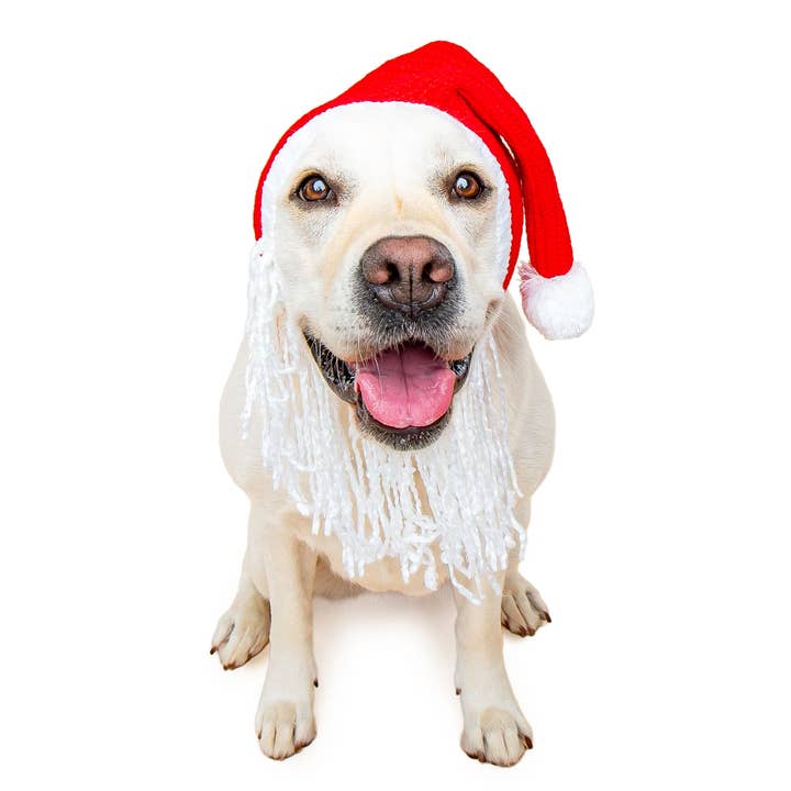 Santa Hat w/Beard Dog Snood for wholesale by Zoo Snoods