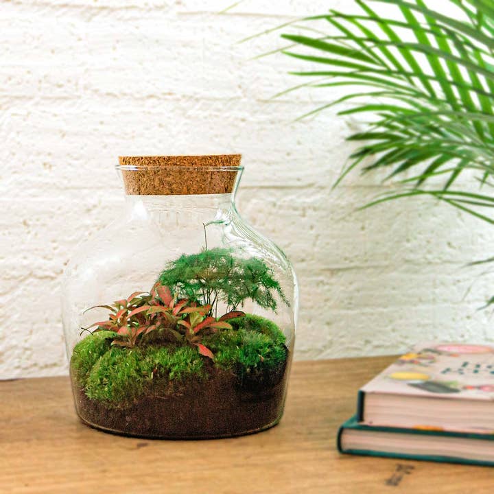 Trendhero.nl/b2b – Engroshandel DIY-hobbysæt – Terrarium DIY-sæt - Little Joe - Flaskehave - ↑ 21,5 cm