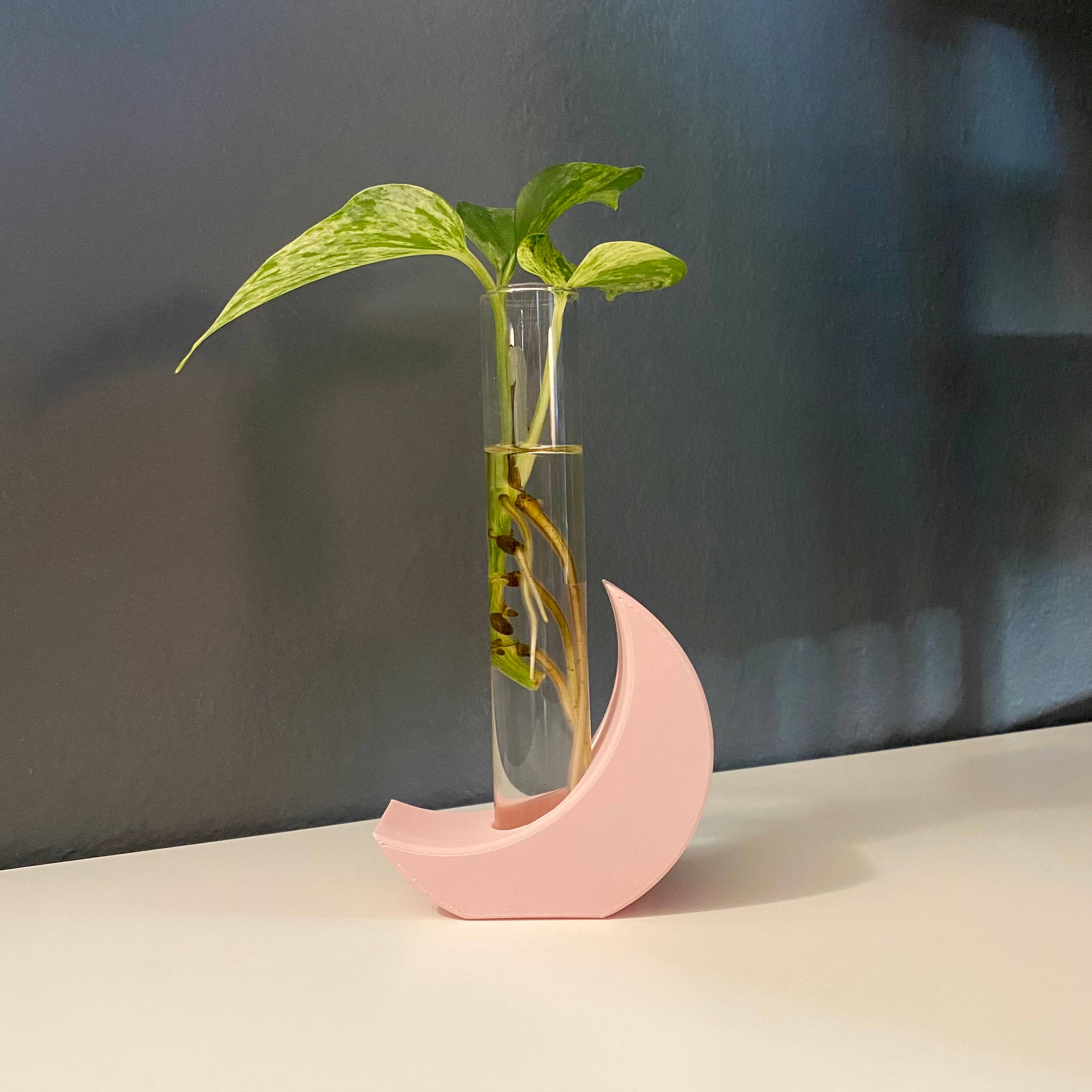 Plant Voyage - Wholesale Plant pot - 3D Printed Moon Propagation Station, Propagation Stand5