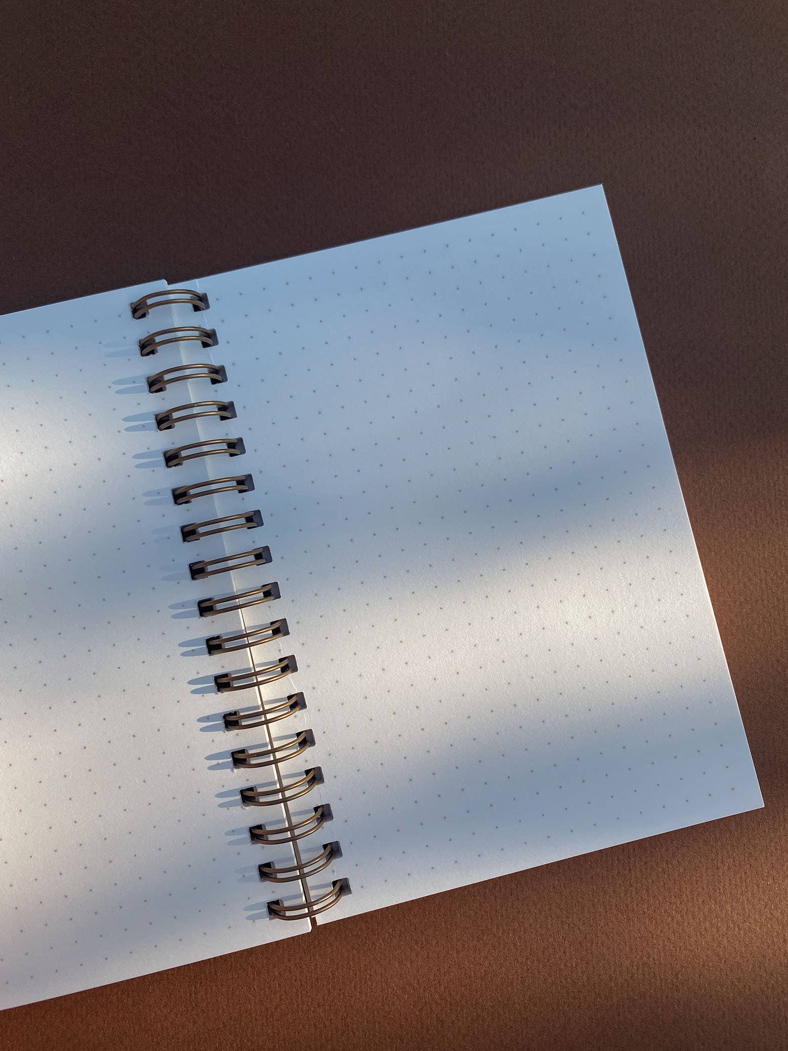 Anna Cosma - Wholesale Gift Bag Set/Pack - GIFT SET - STAY GOLD WILD SOUL - GIFT BAG,JOURNAL, 2026 ,SUN6