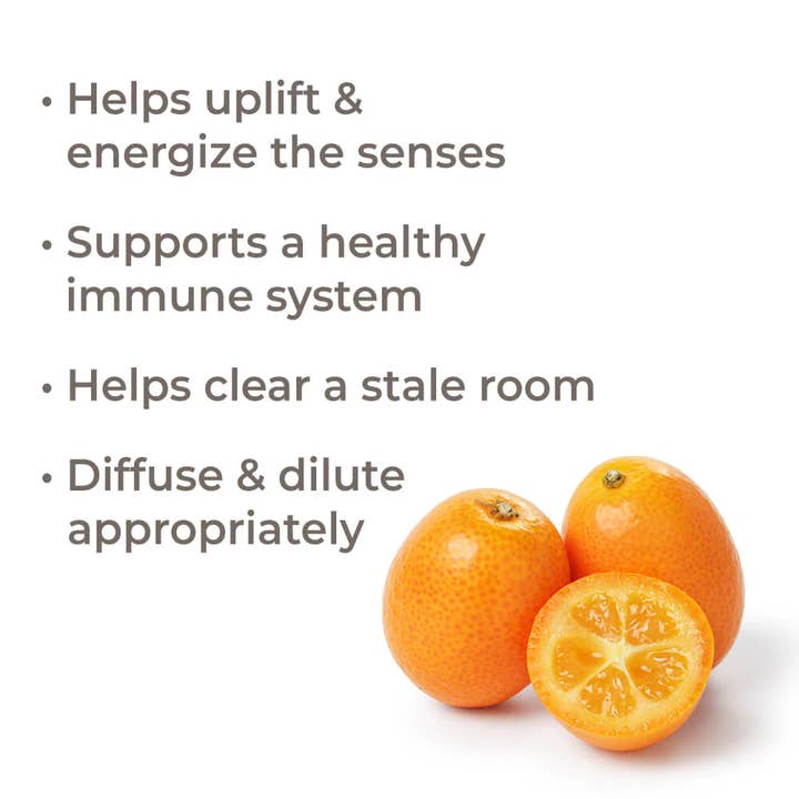 Plant Therapy - Wholesale Essential Oil - Kumquat Essential Oil 10 mL