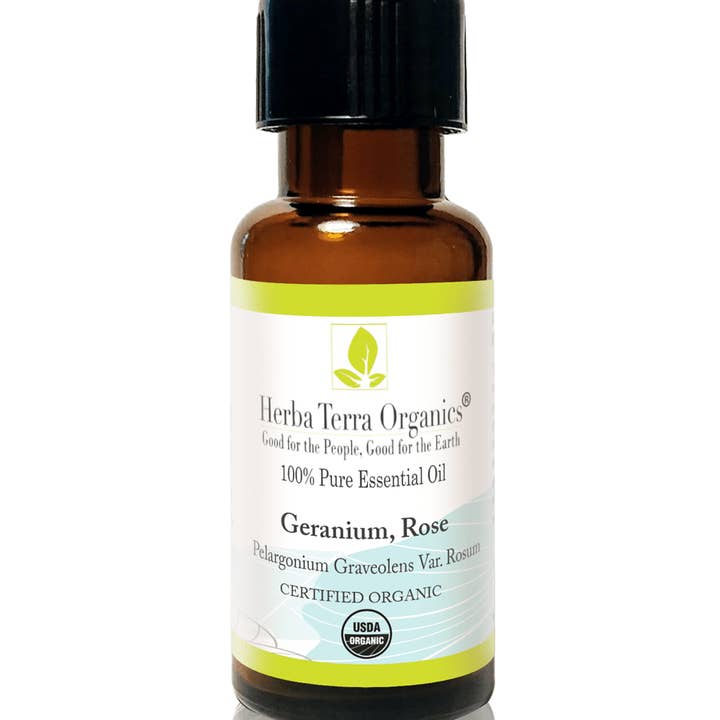 Geranio biologico USDA, olio essenziale di rosa 1 oz per la vendita all'ingrosso da parte di Herba Vera Organics