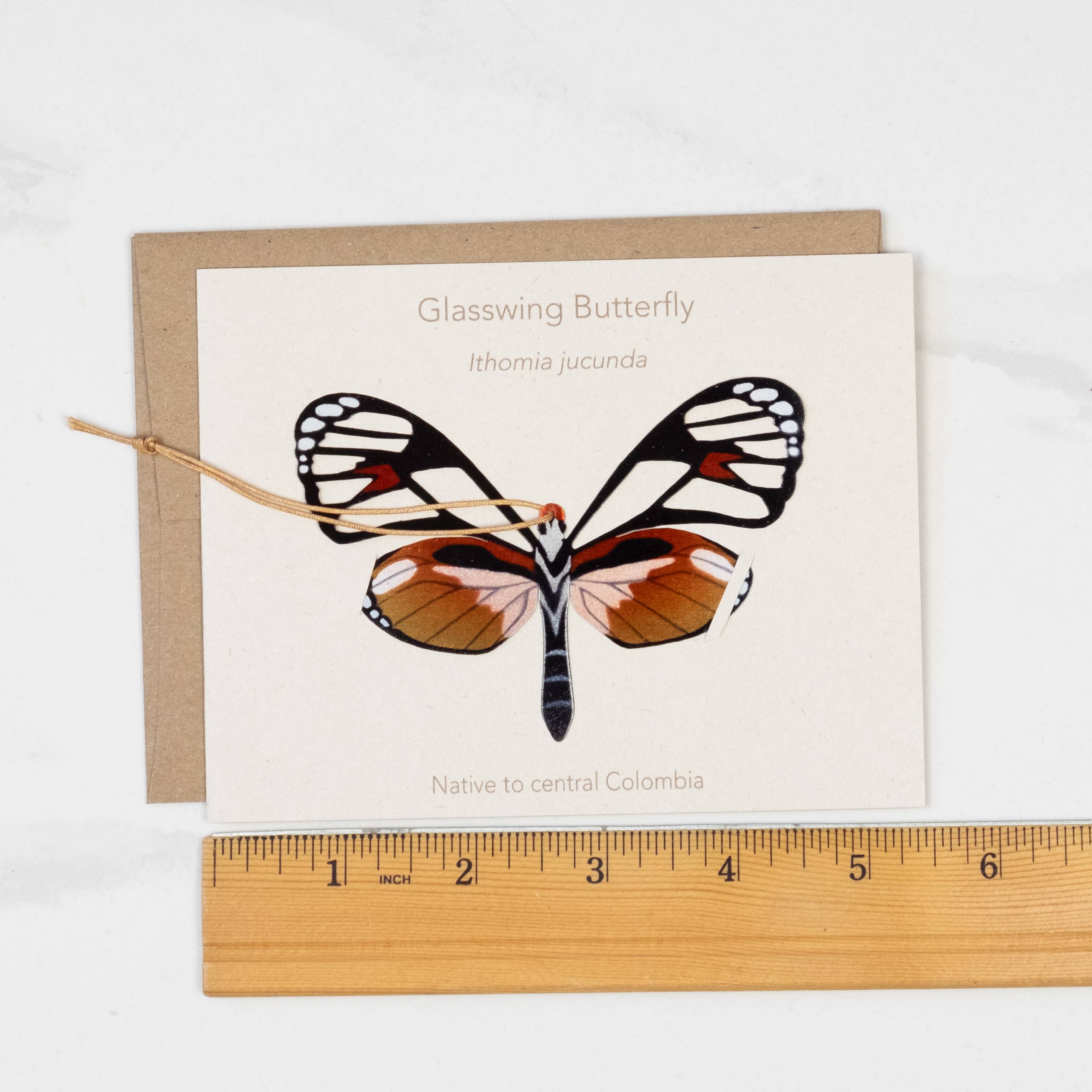 Tulia's Artisan Gallery - Wholesale Bookmark - Glass Wing Butterfly Ornament + Notecard4