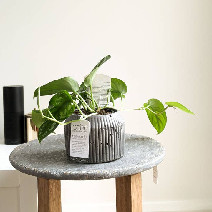 Eché pots - Wholesale Plant pot - Hemp & Coconut fibre Rib Pot - Handcrafted in Australia7