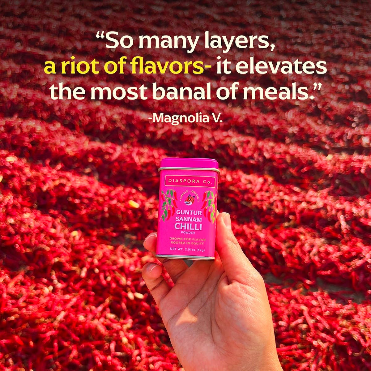Diaspora Spice Co. - Wholesale Dried Spice - Guntur Sannam Chili Powder (Medium Heat) - Single-Origin3