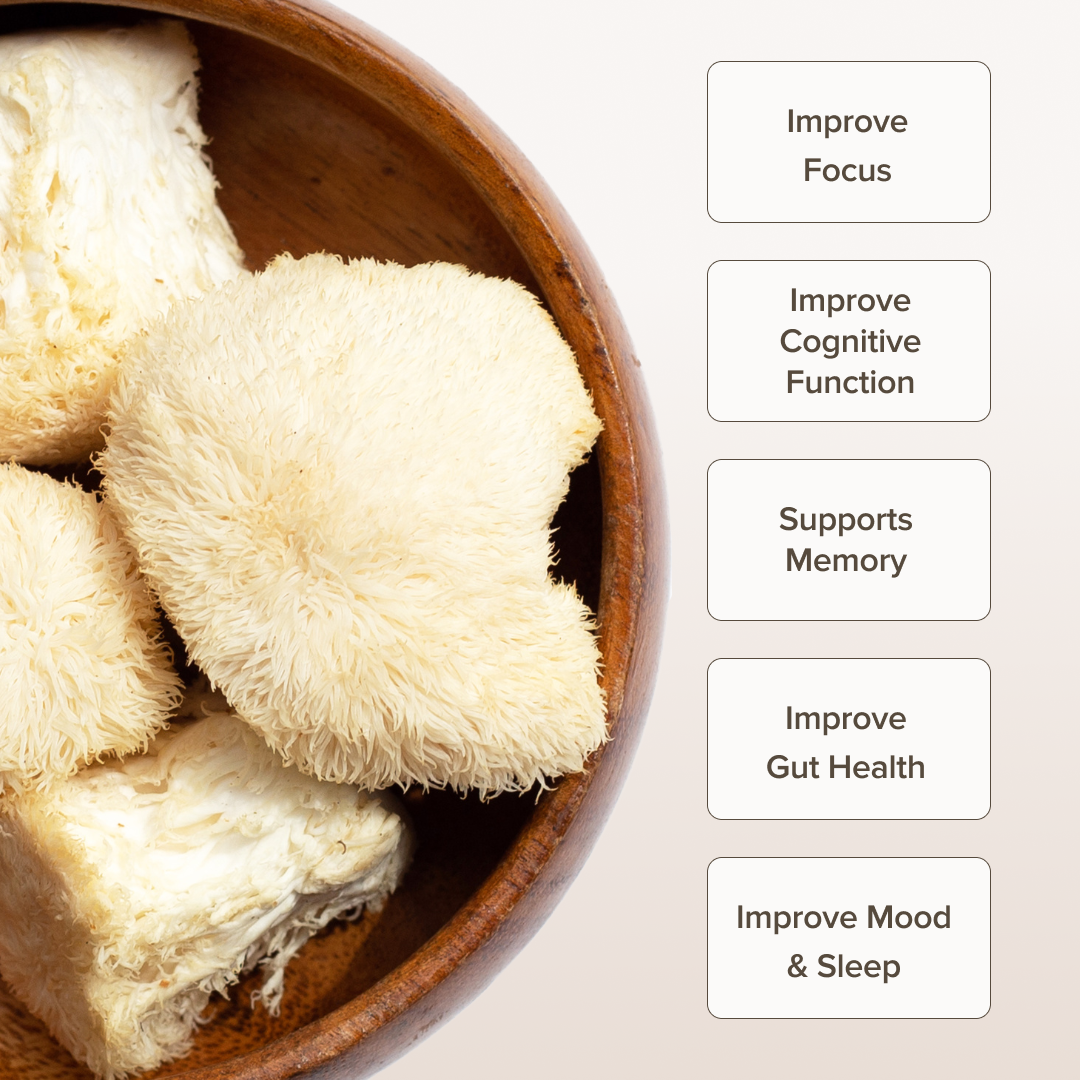 Bloomable Natural Products - Wholesale Protein/Superfood Powder - Lion's Mane Mushroom Extract Powder (60 gr)1