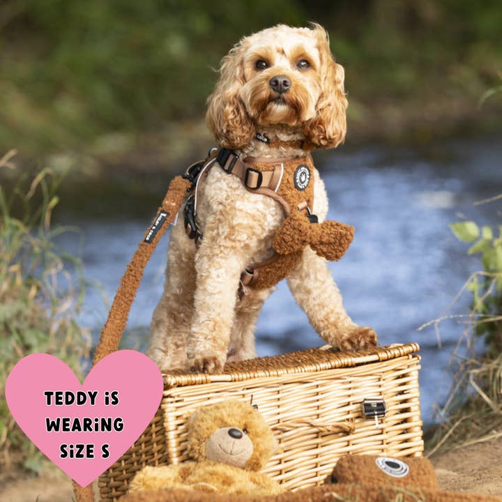 Bailey and Coco - Wholesale Pet Harness - Dog - Trail & Glow® Dog Harness - Teddy Bear