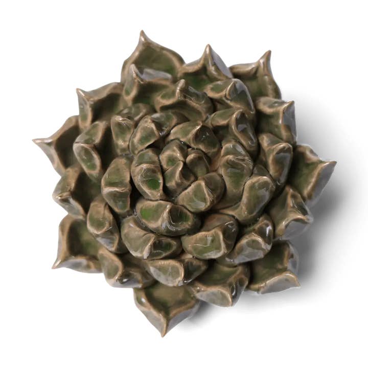 Fleurs en céramique faites à la main | Succulent vert unique en boîte pour la vente par Chive EU