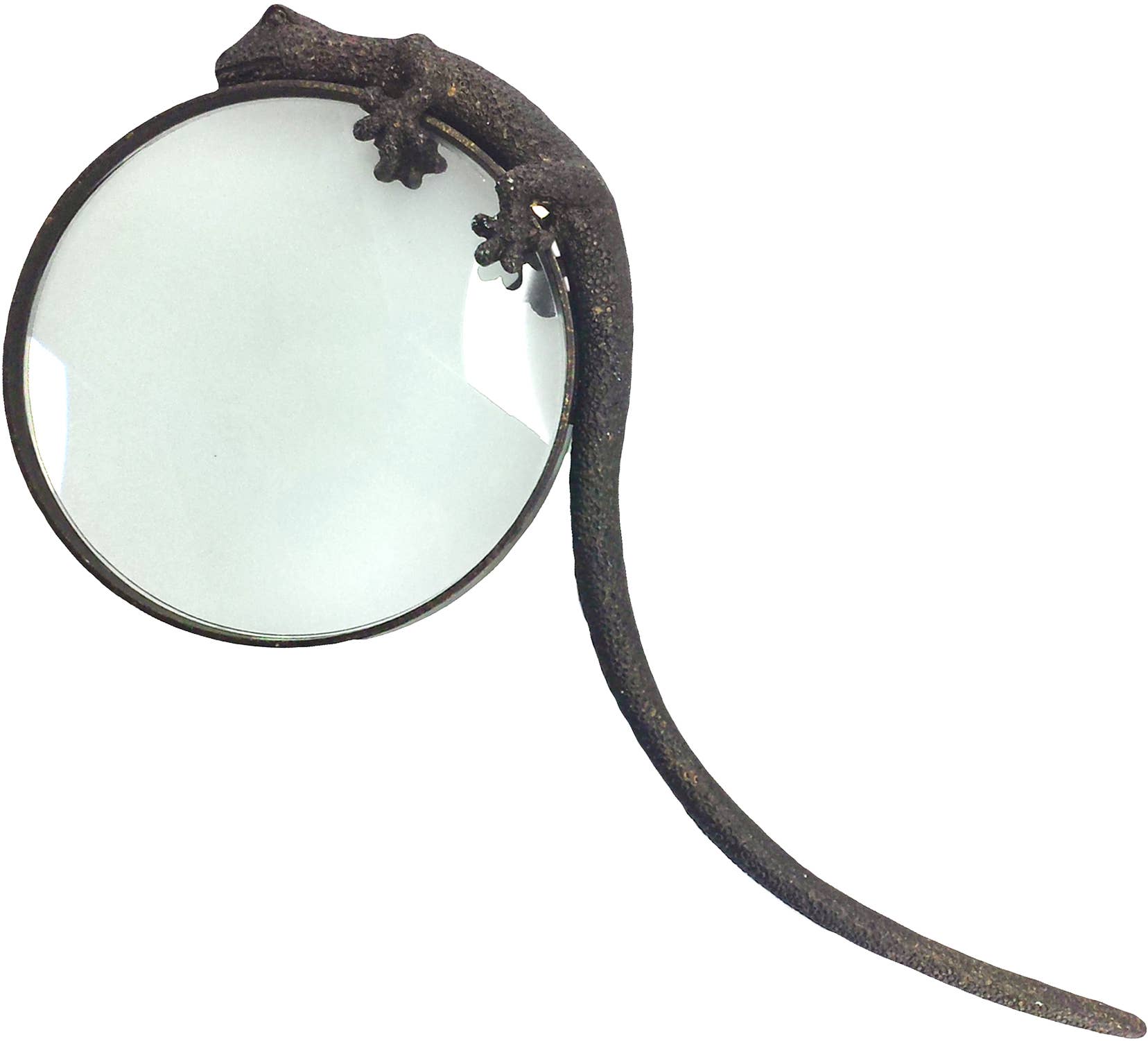 World Buyers - Wholesale Magnifying Glass - Gecko Magnifying Glass - EA620