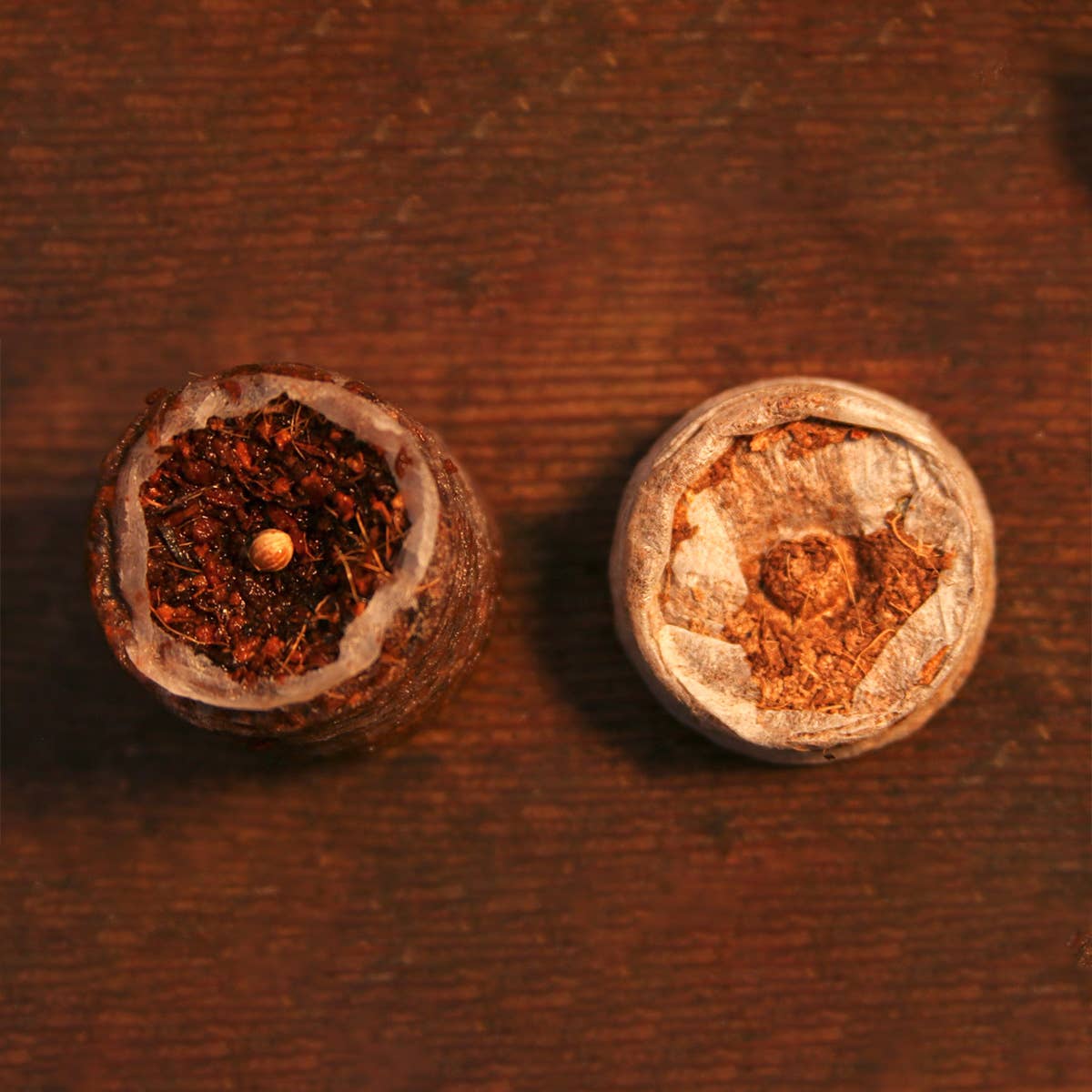 CoirProducts.co.uk of Salike Limited – wholesale Planting/potting soil – Coirproducts (cpuk) 38mm Coircoins (coir Pellets)1