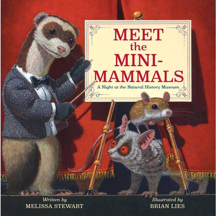 Simon & Schuster - Wholesale Book - Kids - Meet the Mini-Mammals by Melissa Stewart