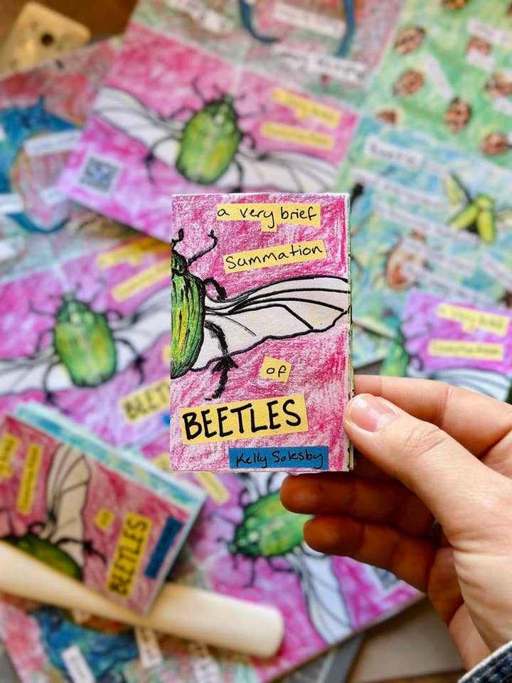 Beetles | Mini Zine | Bug Illustrations | Entomology Gift for wholesale by Out Yonder Creative