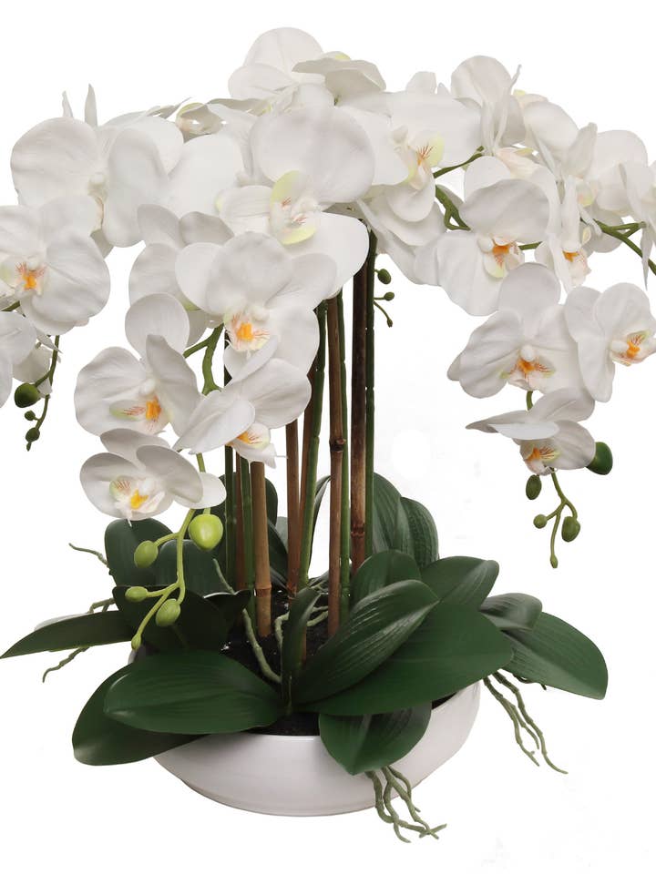 Fleurs d'orchidée Phalaenopsis blanches de 20" dans un pot rond blanc de 10" pour la vente par Larksilk