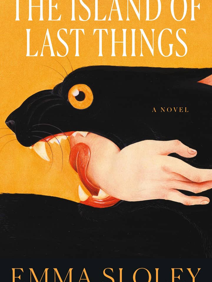 The Island Of Last Things for wholesale by Macmillan Publishers